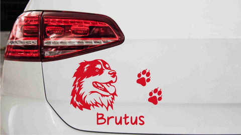 autoaufkleber-australischer-schaeferhund-kopf-mit-pfoten-wunschname-rot