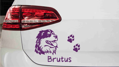 autoaufkleber-australischer-schaeferhund-kopf-mit-pfoten-wunschname-violett