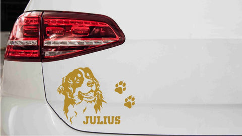 autoaufkleber-berner-sennenhund-kopf-mit-wunschnamen-gold