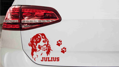 autoaufkleber-berner-sennenhund-kopf-mit-wunschnamen-rot
