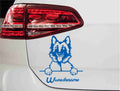 belgischer-tervueren-schaeferhund-autoaufkleber-blau