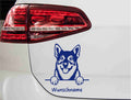 swedishvallhund-vaestgoetaspets-hund-mit-wunschname-blau