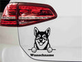 swedishvallhund-vaestgoetaspets-hund-mit-wunschname-schwarz